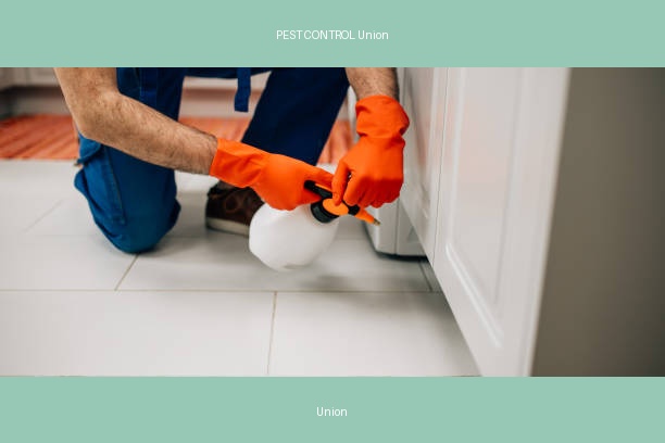 PEST CONTROL Union